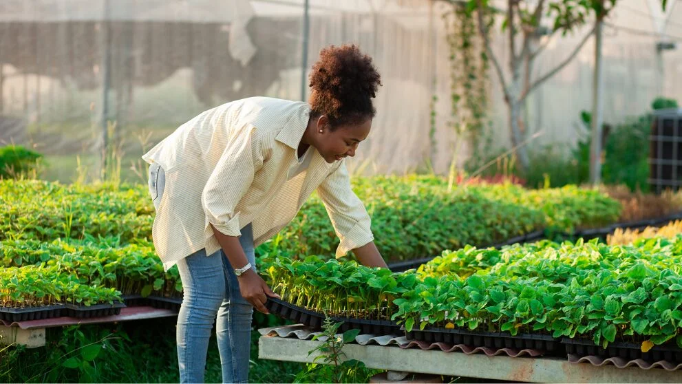 How to Start a Small Farming Business as a Woman