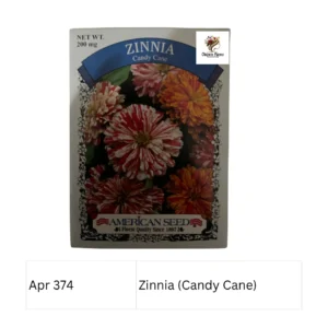 Zinnia (Candy Cane)