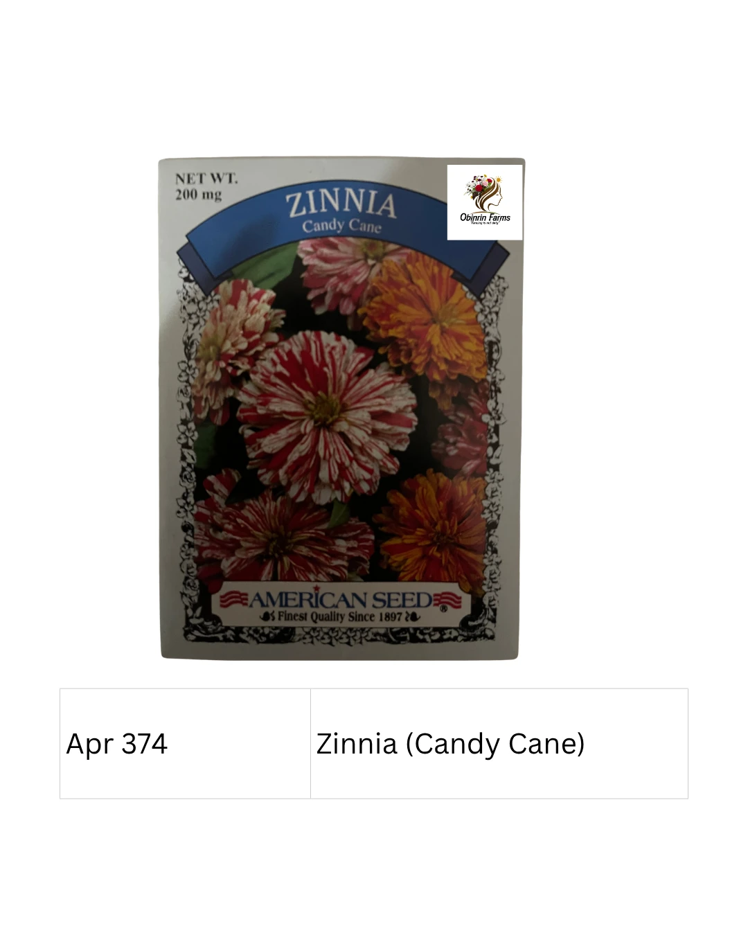 Zinnia (Candy Cane)