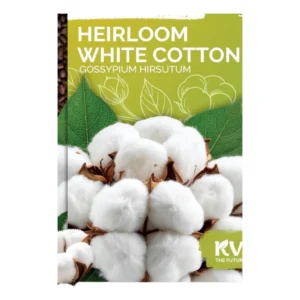 Cotton
