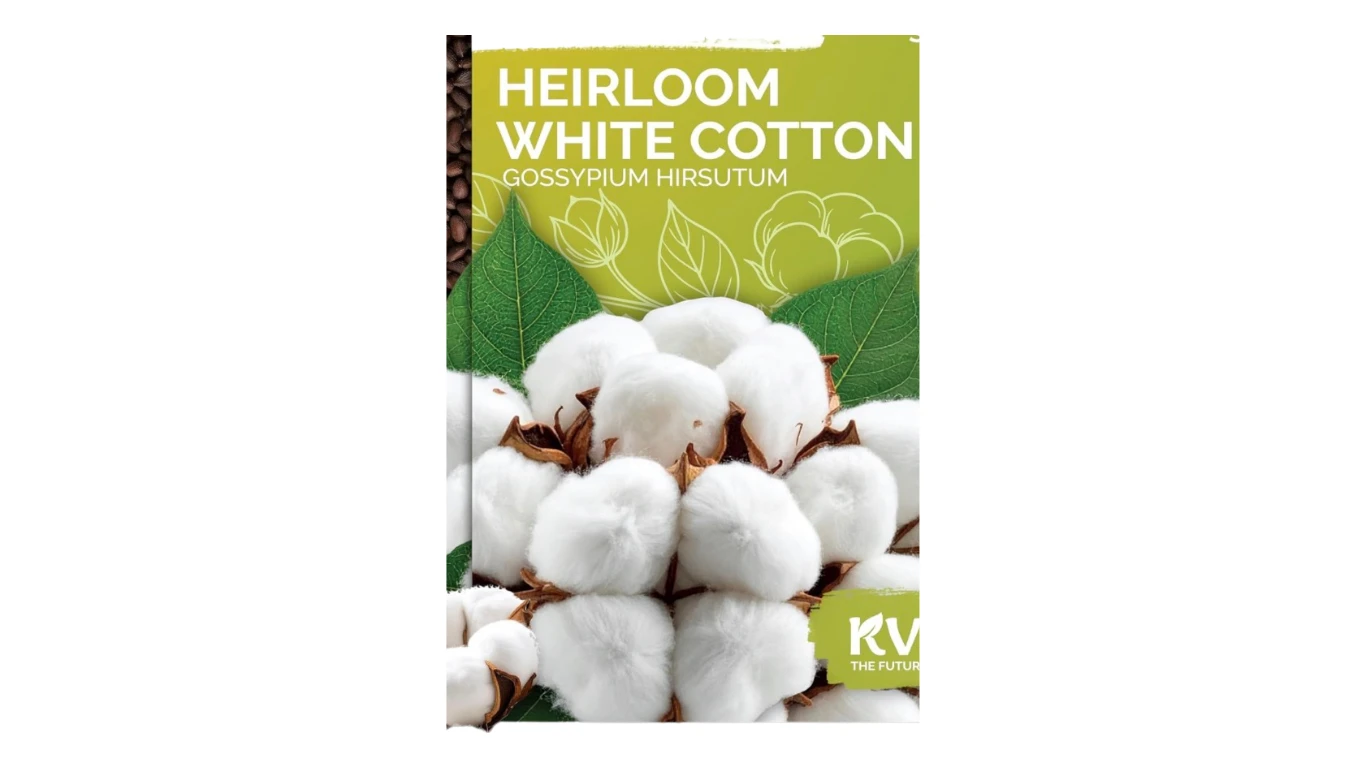 Cotton