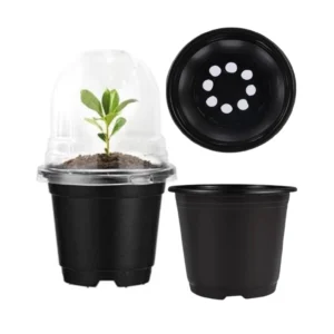 Black Pots with Clear Domes (3PCS)