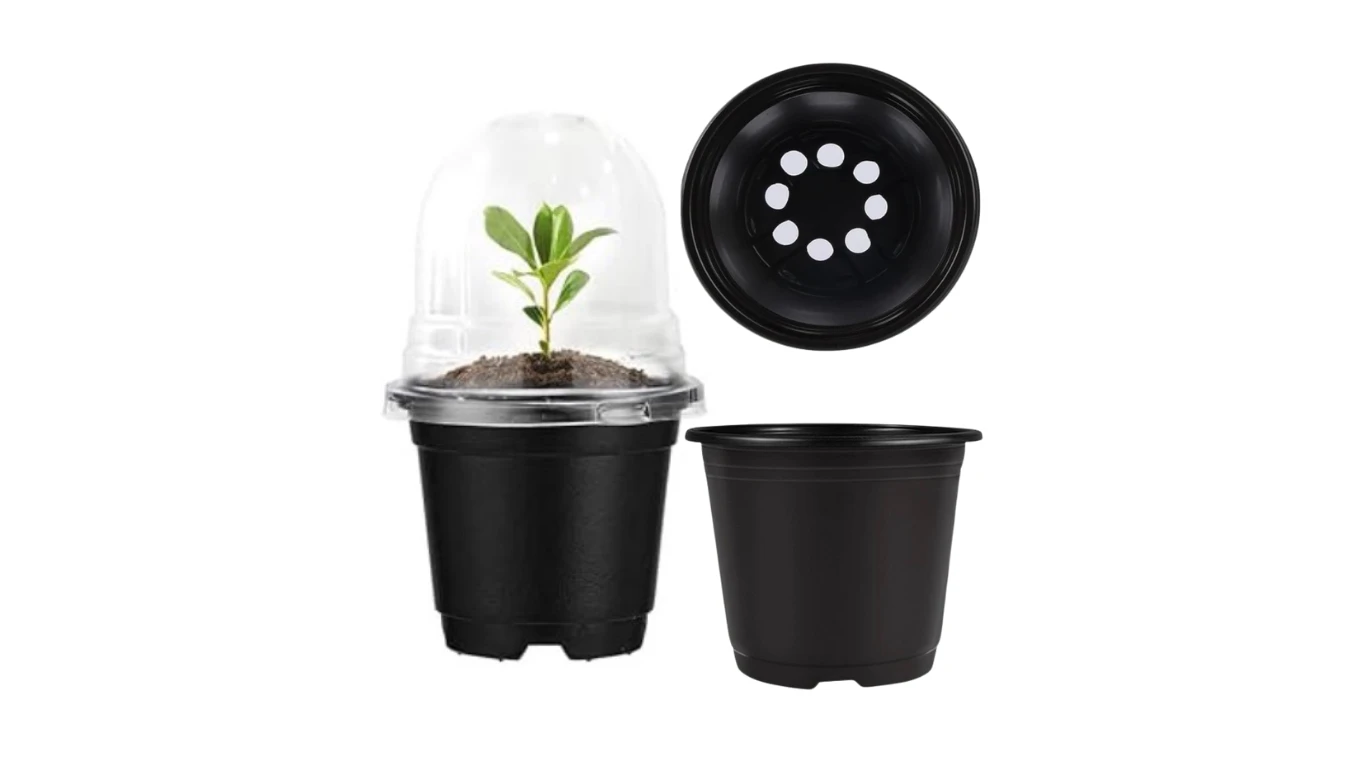 Black Pots with Clear Domes (3PCS)