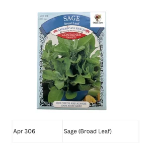 Sage (Broad Leaf Container Variety)