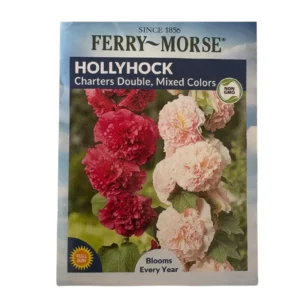 Hollyhock(Charters Double, Mixed Colors)
