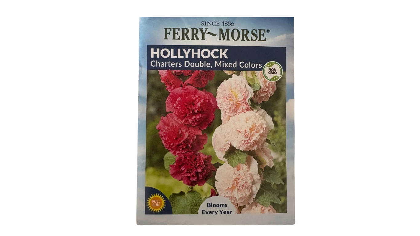 Hollyhock(Charters Double, Mixed Colors)