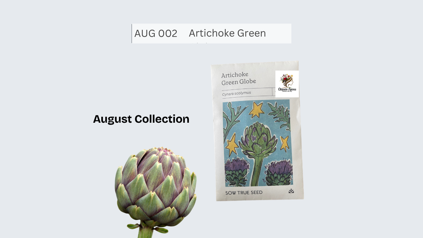 Artichoke Green Globe