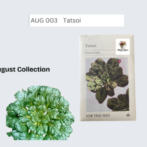 Tatsoi