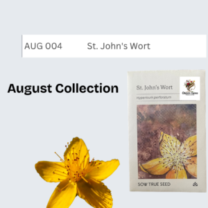 St. John's Wort