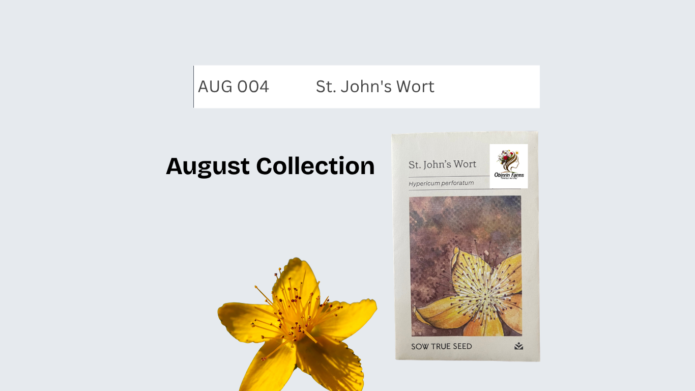 St. John's Wort