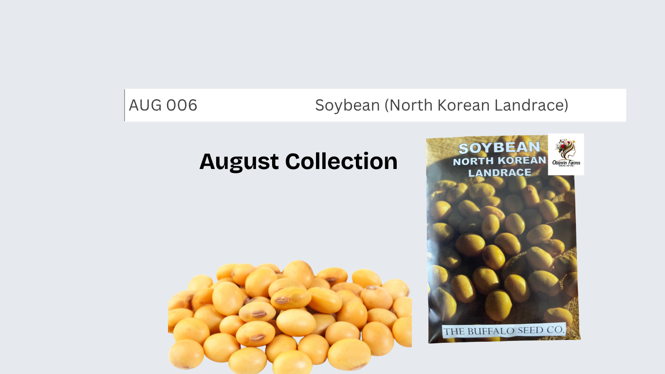 Soybean (North Korean Landrace)
