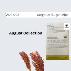 Sorghum (Sugar Drip)