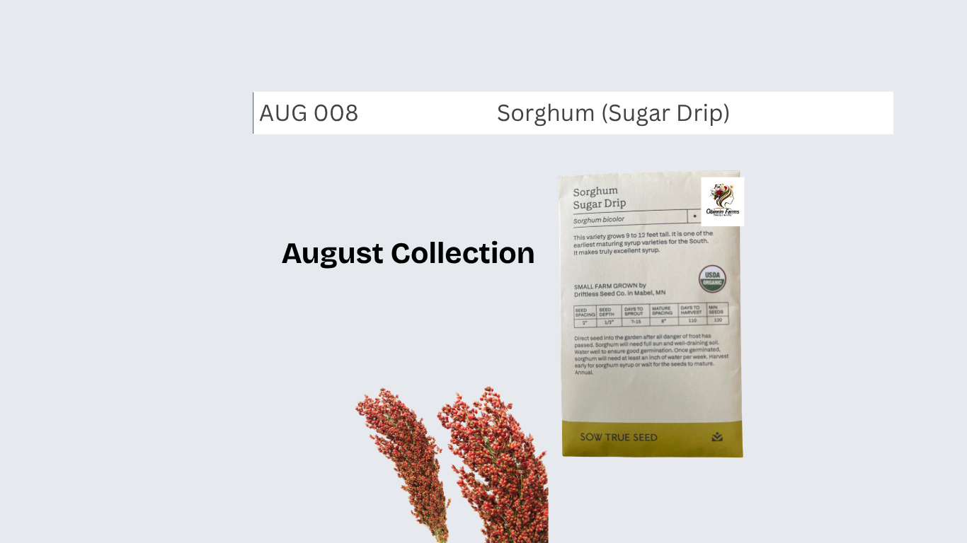 Sorghum (Sugar Drip)