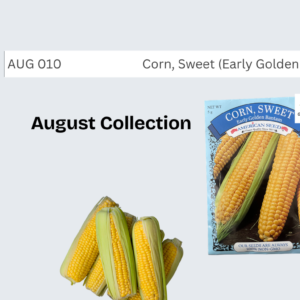 Corn, Sweet (Early Golden Bantam)