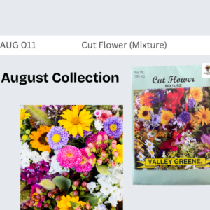 Cut Flower (Mixture)