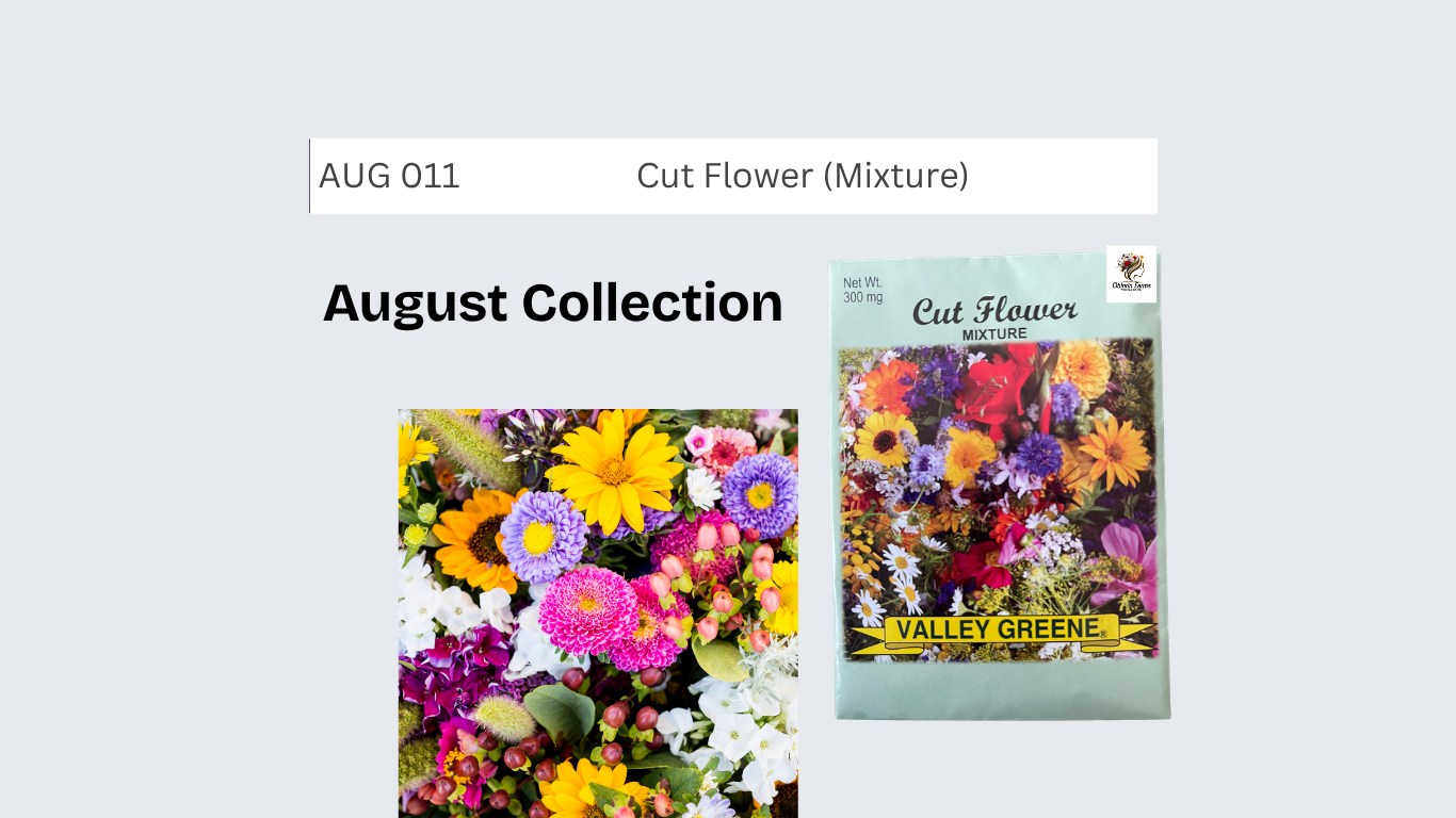 Cut Flower (Mixture)