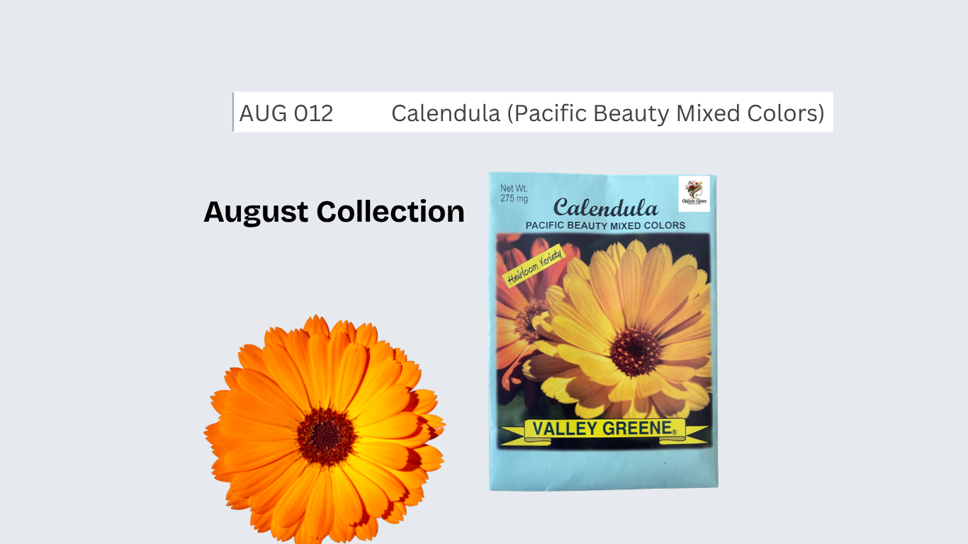 Calendula (Pacific Beauty Mixed Colors)
