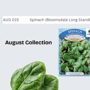 Spinach (Bloomsdale Long Standing)