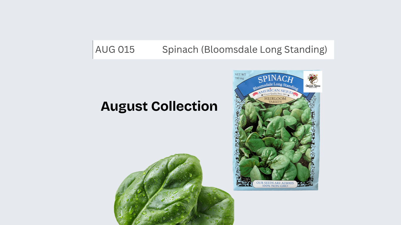 Spinach (Bloomsdale Long Standing)