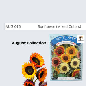 Sunflower (Mixed Colors)
