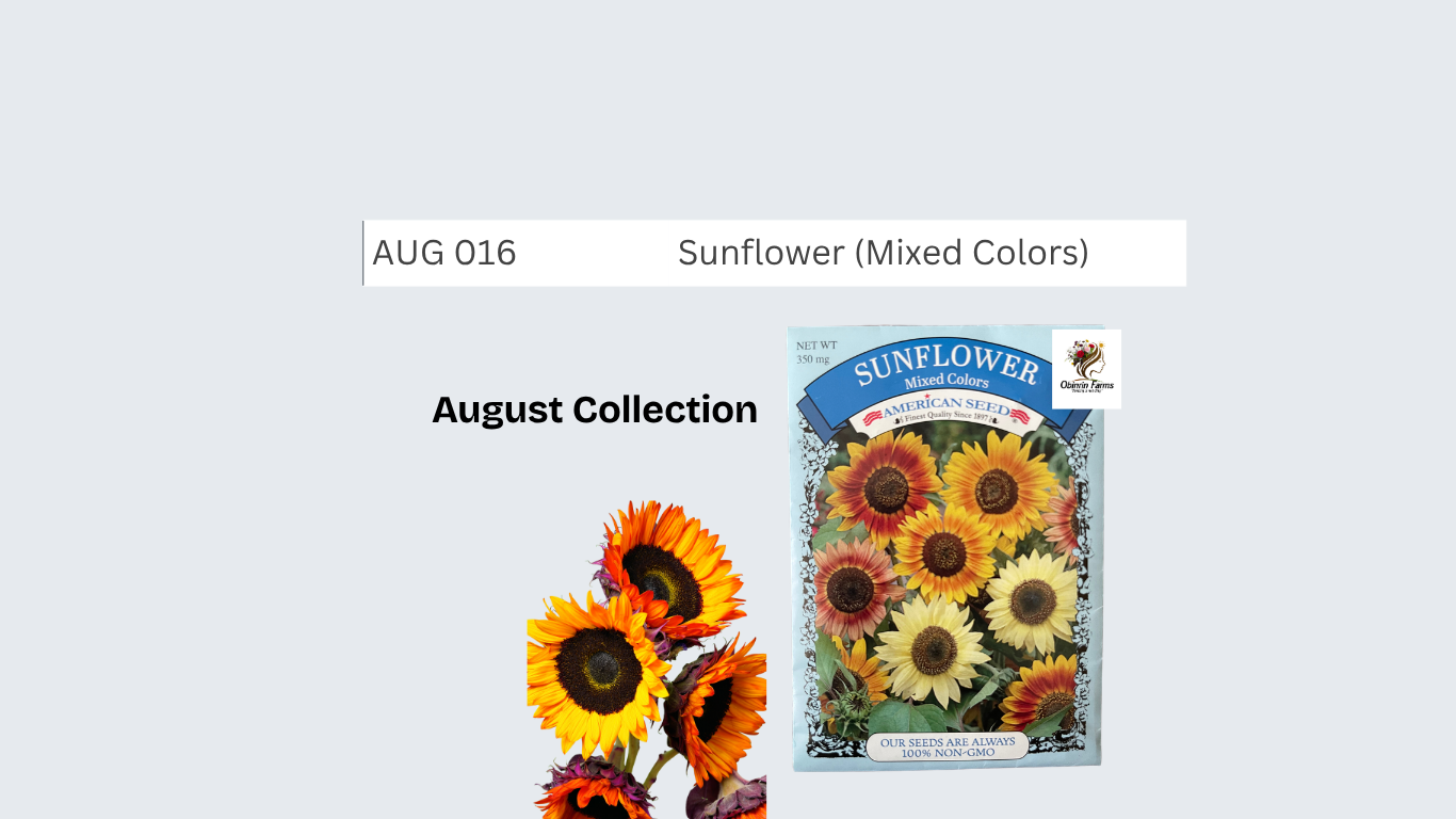 Sunflower (Mixed Colors)
