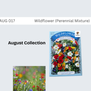 Wildflower (Perennial Mix)