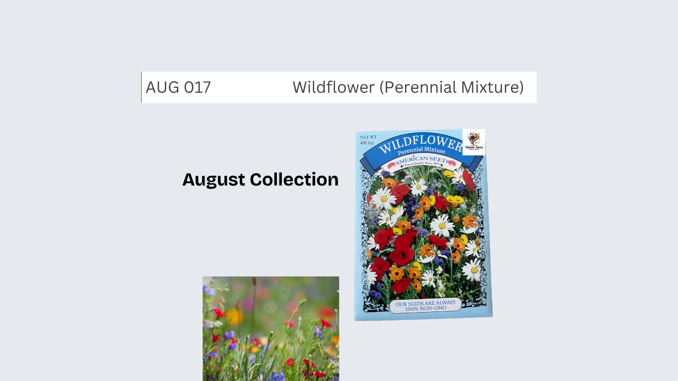 Wildflower (Perennial Mix)