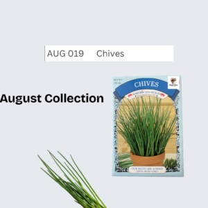 Chives (Allium schoenoprasum)