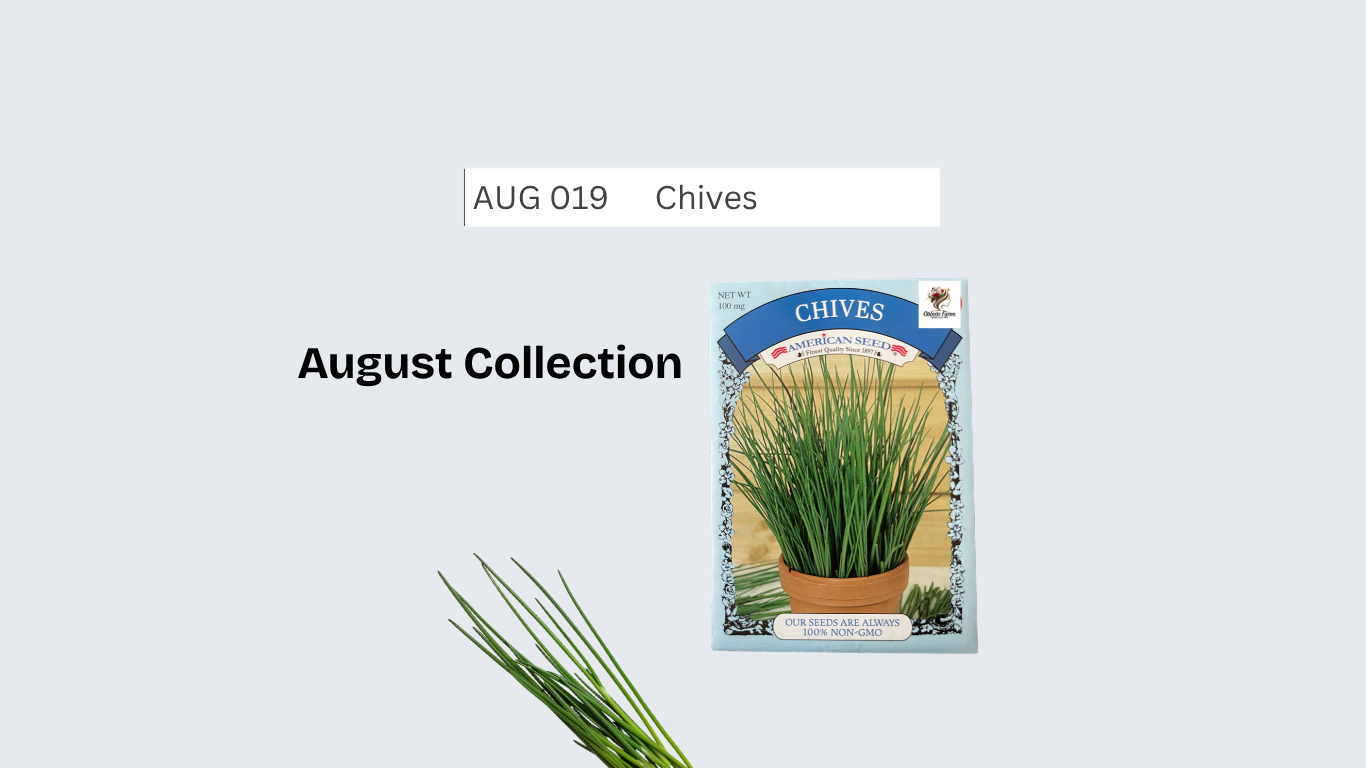 Chives (Allium schoenoprasum)