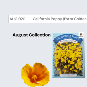California Poppy (Extra Golden)