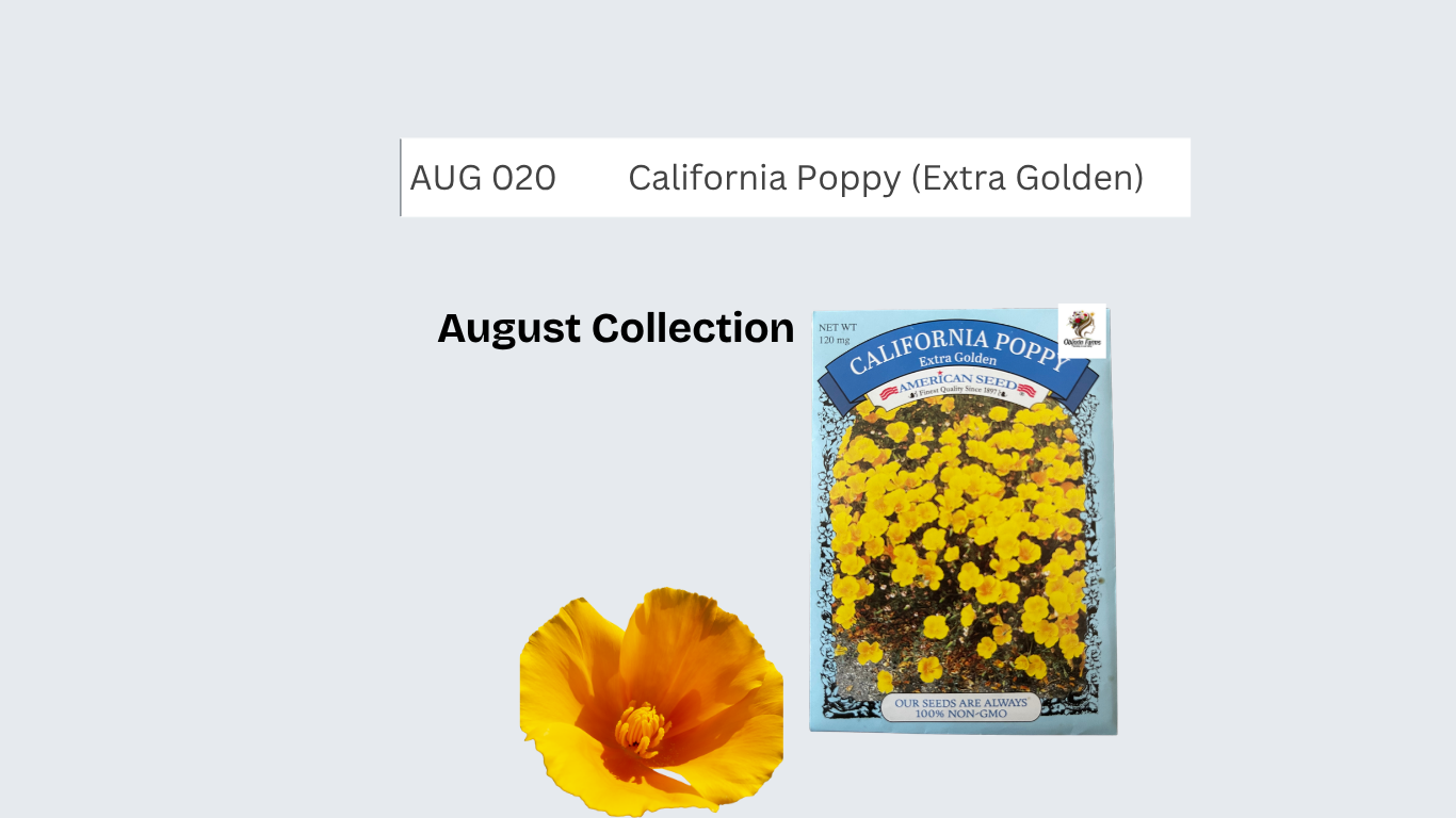 California Poppy (Extra Golden)