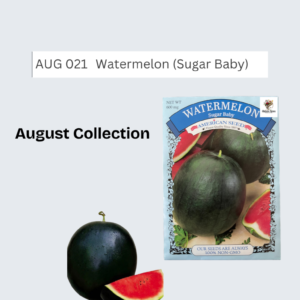 Watermelon (Sugar Baby)