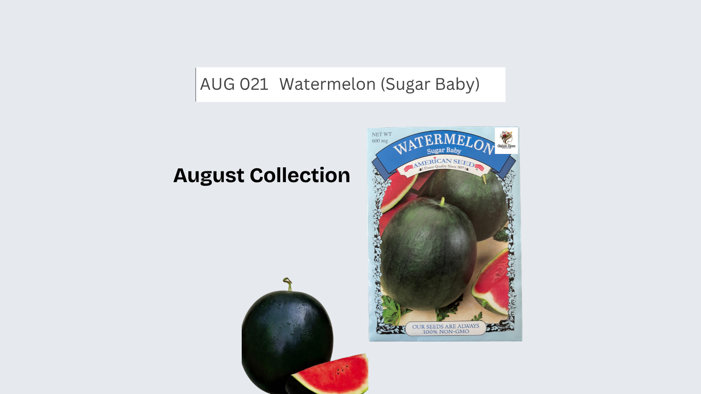 Watermelon (Sugar Baby)