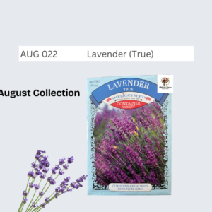 Lavender (True)