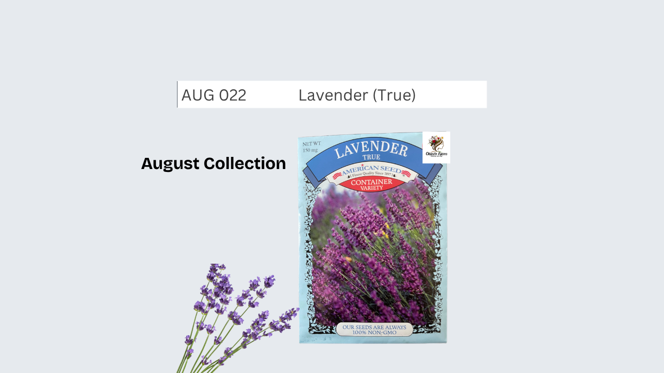 Lavender (True)
