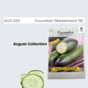 Cucumber (Marketmore 76)
