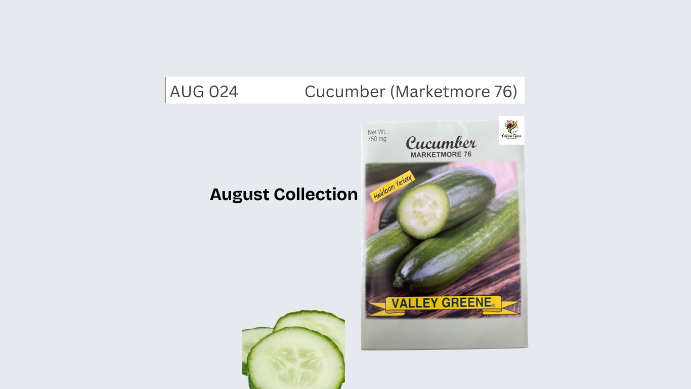 Cucumber (Marketmore 76)