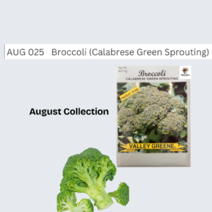 Broccoli (Calabrese Green Sprouting)