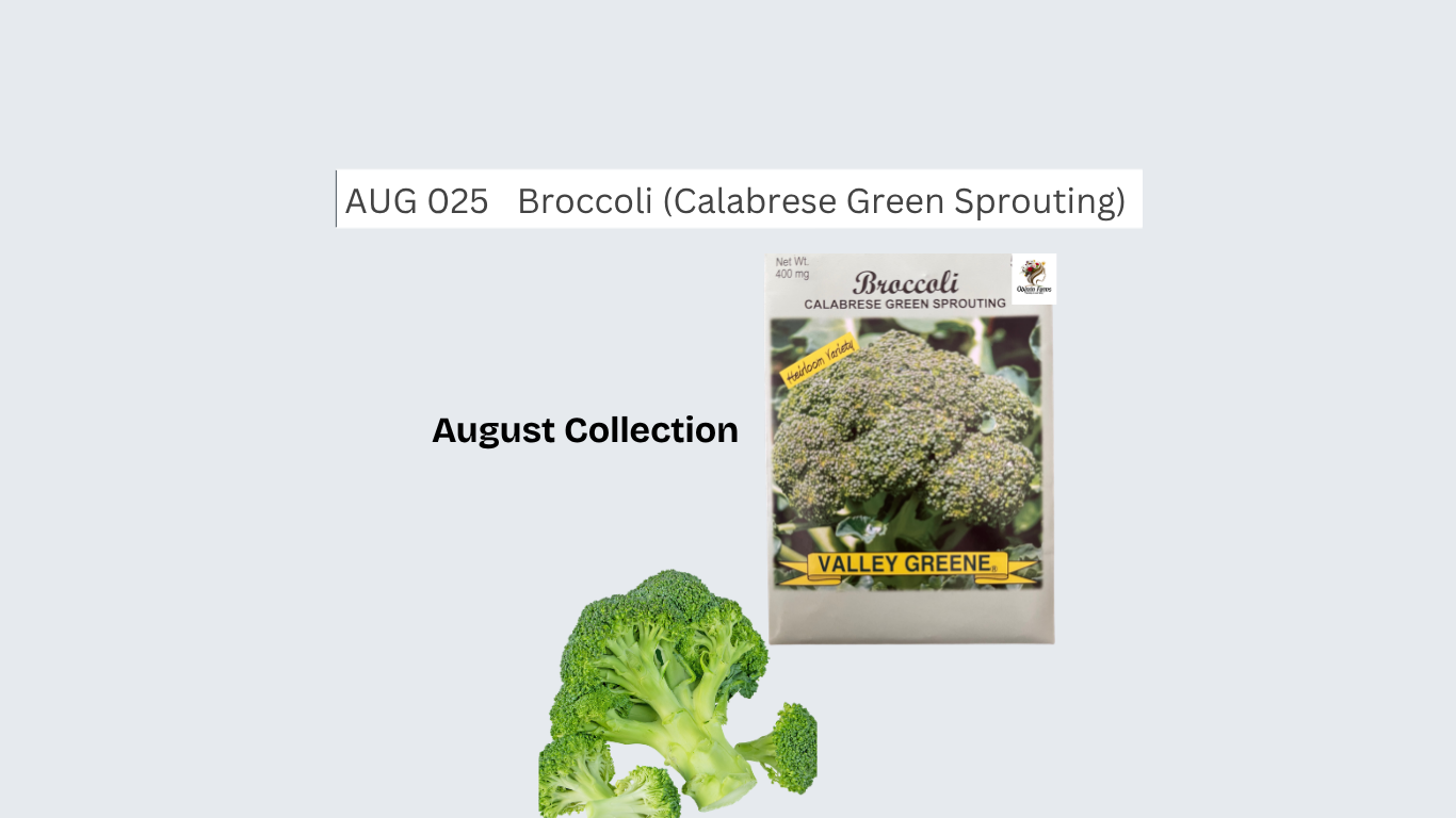Broccoli (Calabrese Green Sprouting)