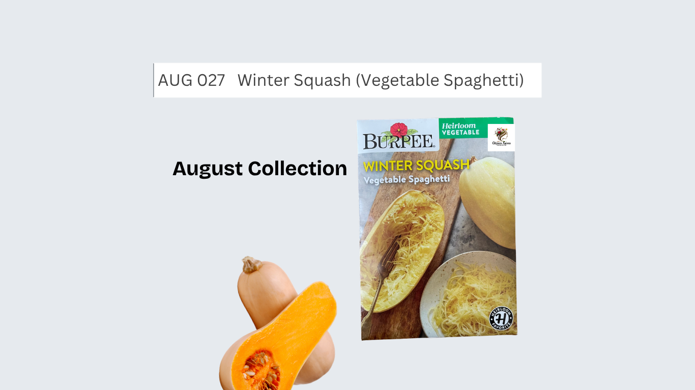 Winter Squash (Vegetable Spagetti)
