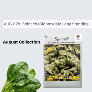 Spinach (BL Standing)