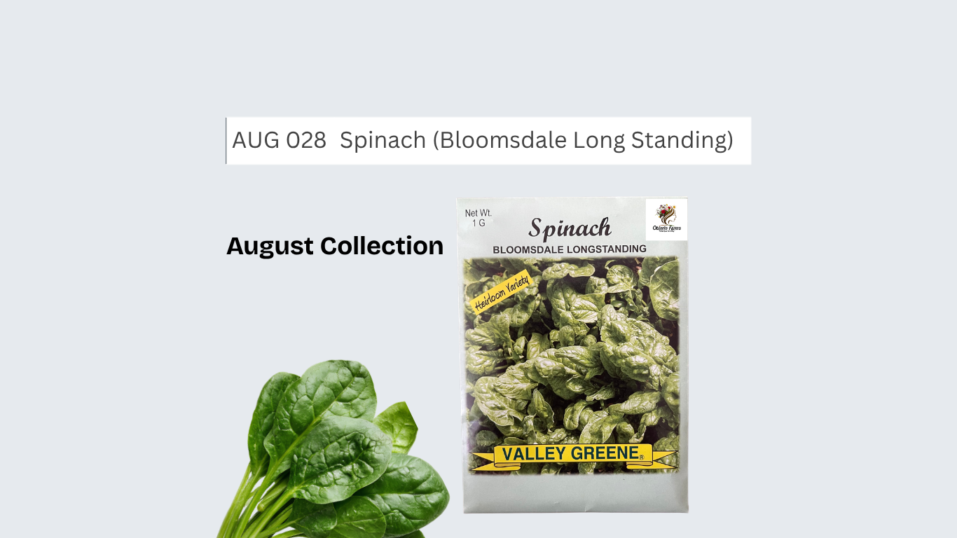 Spinach (BL Standing)