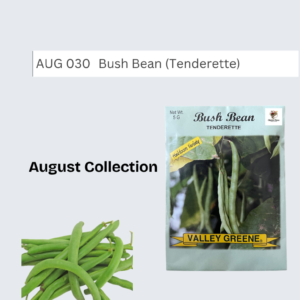 Bush Bean (Tenderette)