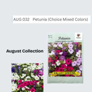 Petunia (Choice Mixed Colors)