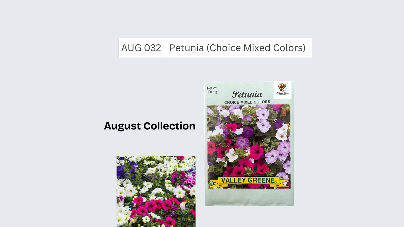 Petunia (Choice Mixed Colors)