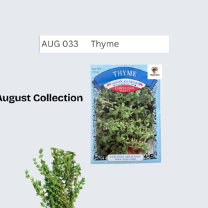 Thyme