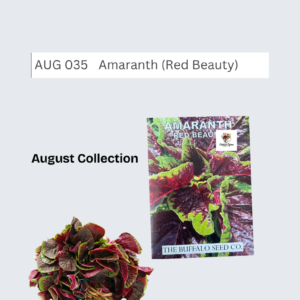 Amaranth (Red Beauty)
