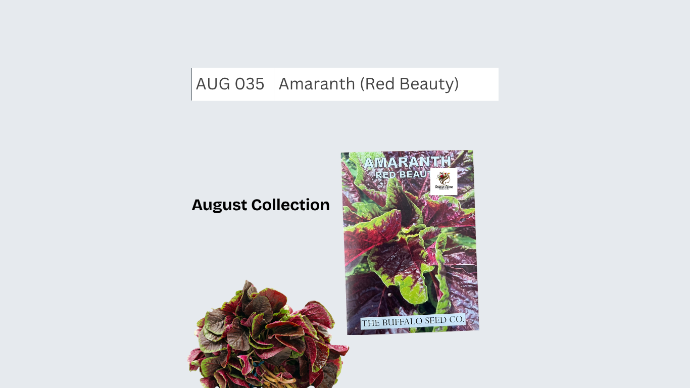 Amaranth (Red Beauty)