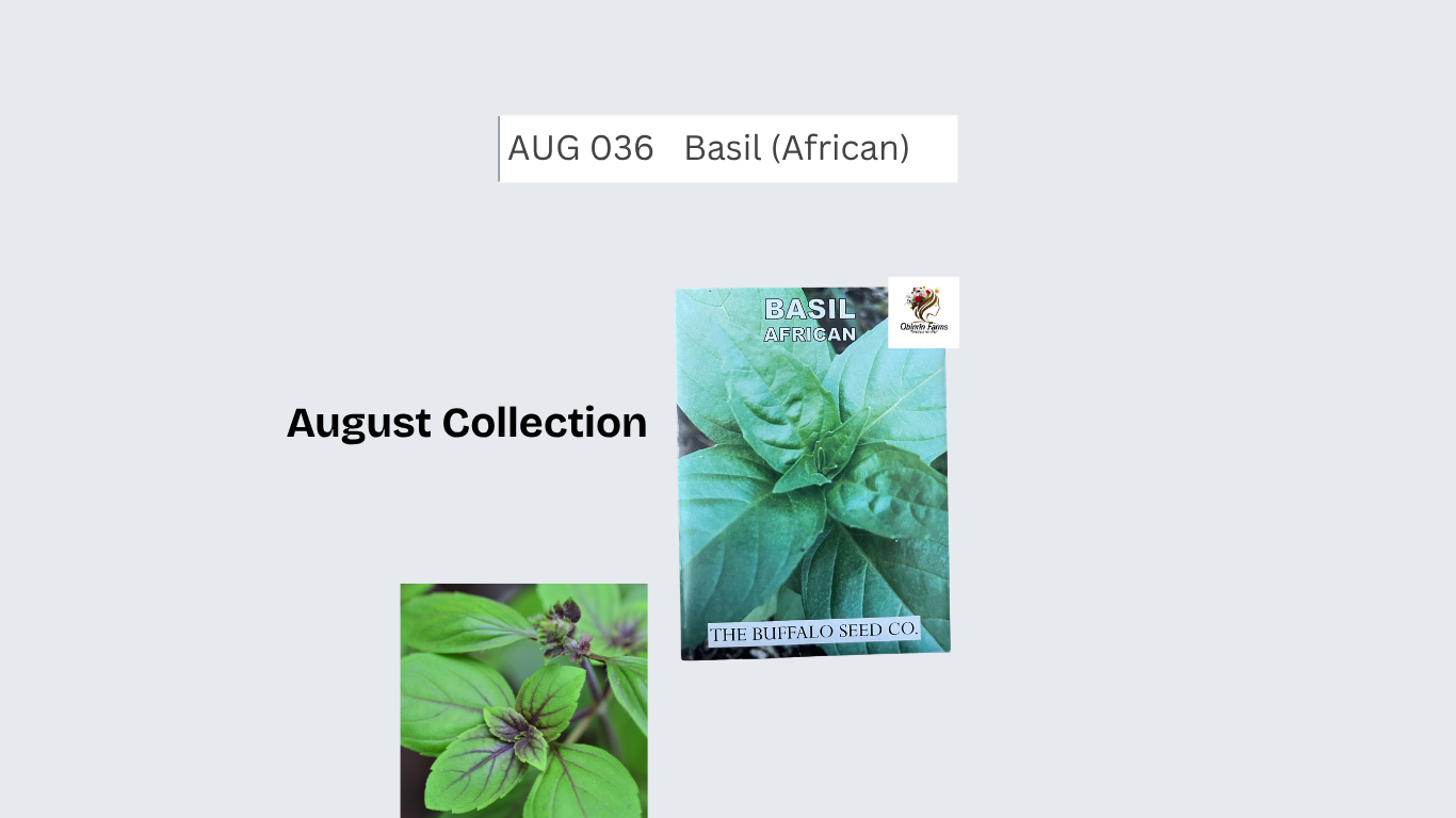 Basil (African)
