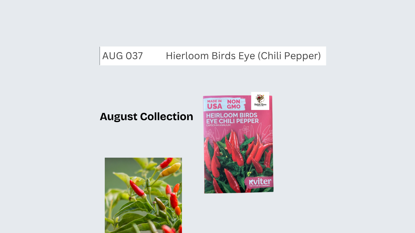Hierloom Birds Eye (Chili Pepper)